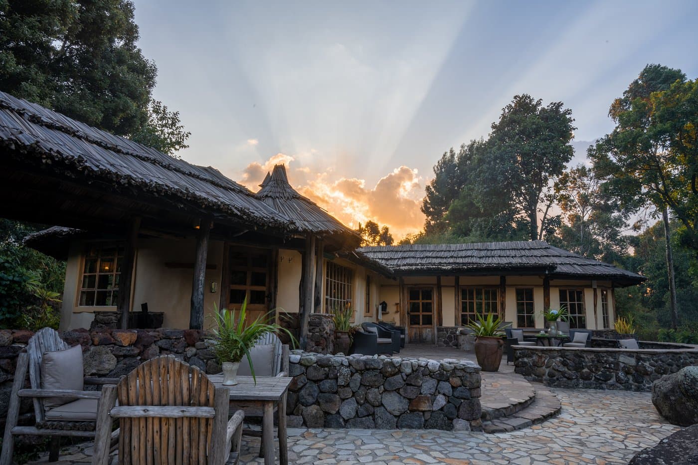 Mount Gahinga Hotel — safari photo 3