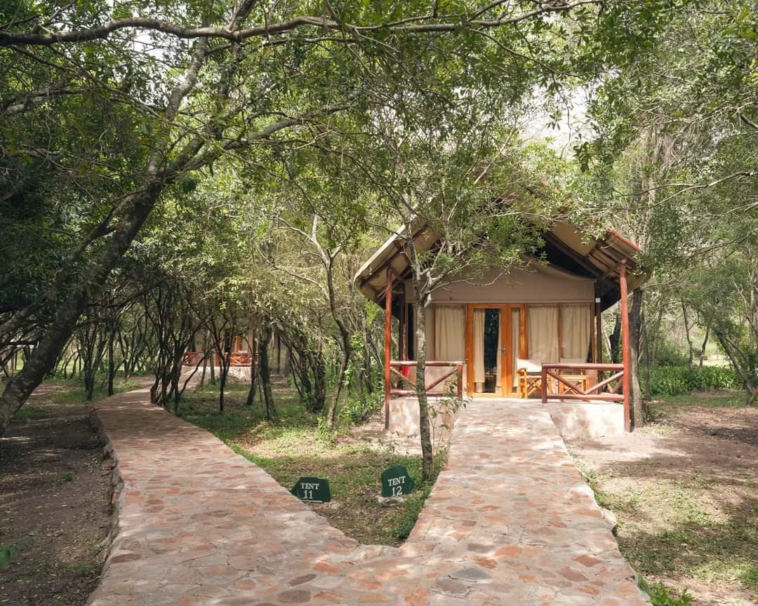 Mara Kimana Camp — photo 6