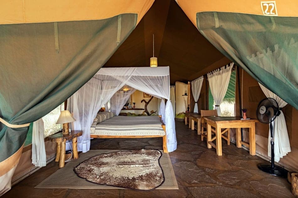 Kibo Safari Camp — photo 6