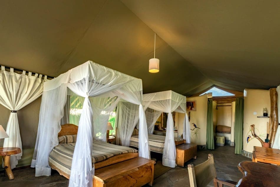 Kibo Safari Camp — photo 7