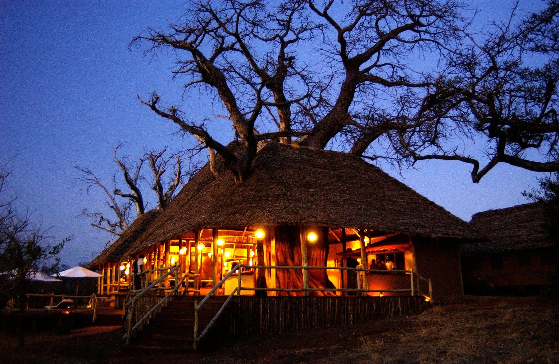 Elewana Tarangire Treetops — safari photo 5