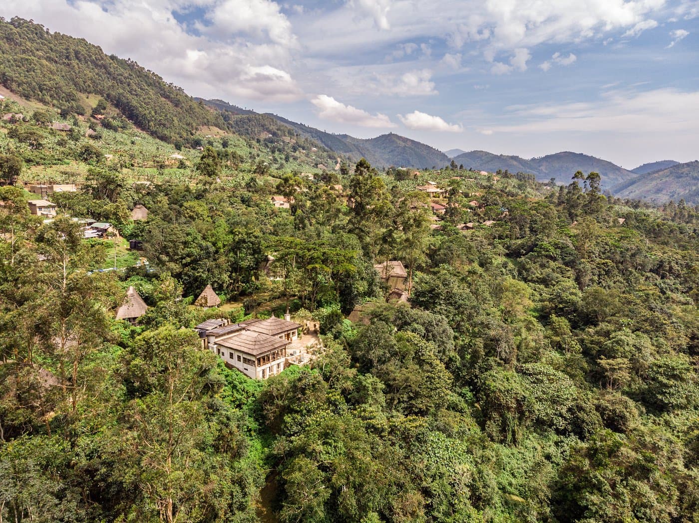 Volcanoes Safaris Bwindi Lodge — safari photo 2