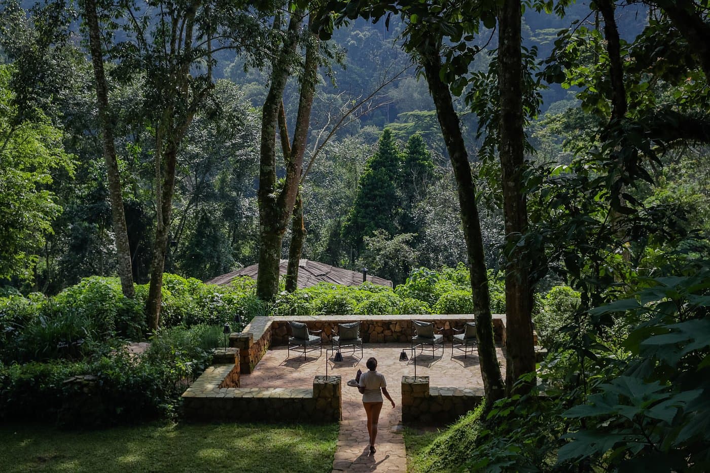 Volcanoes Safaris Bwindi Lodge — safari photo 5
