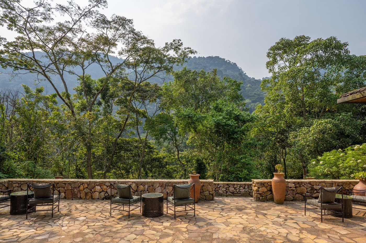 Volcanoes Safaris Bwindi Lodge — safari photo 3