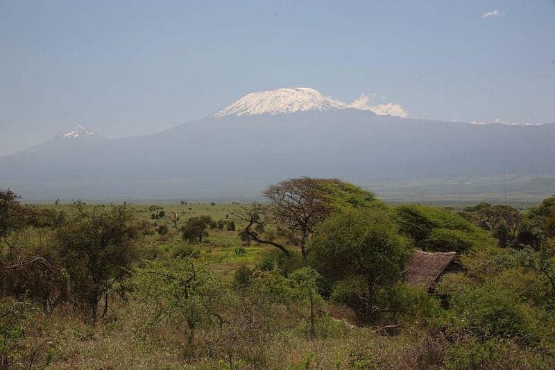 Elewana Tortilis Camp Amboseli — photo 5