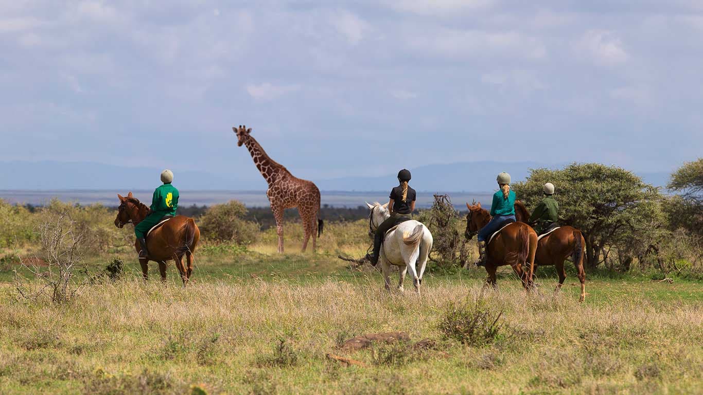 Elewana Loisaba Tented Camp — safari photo 5