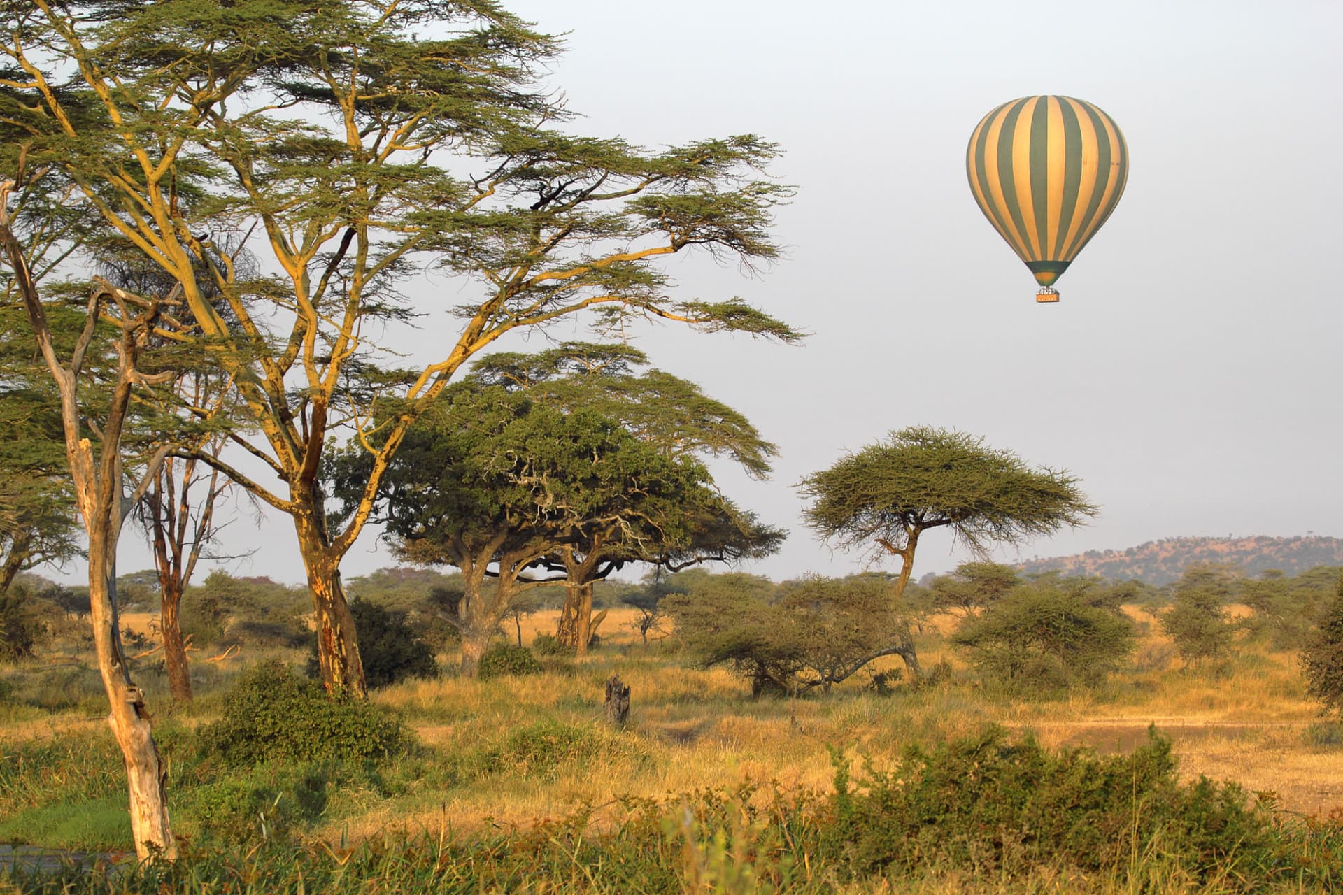 Day 2: MASAI MARA-FULL DAY GAME DRIVE