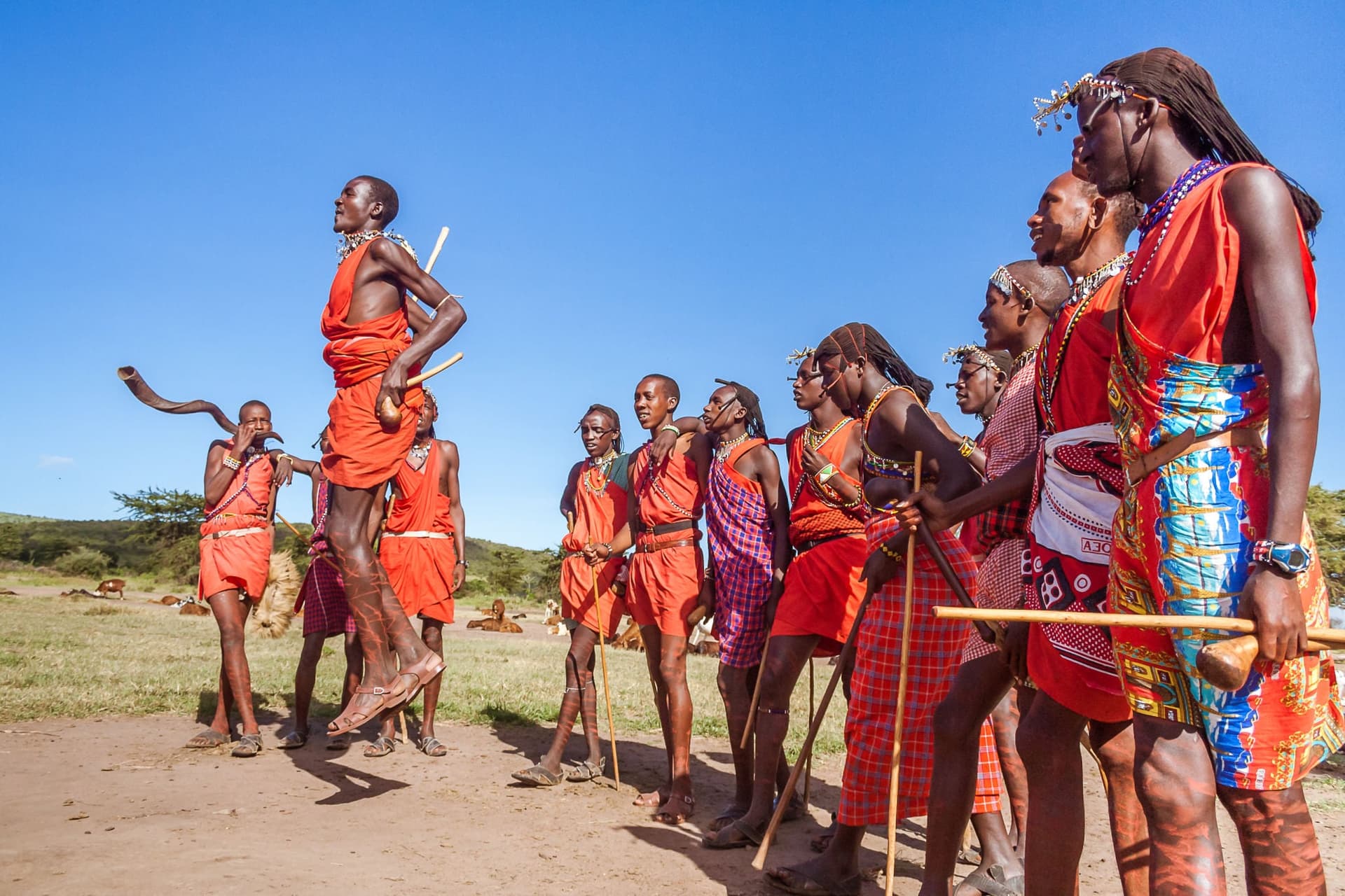 Hot Air Balloon Safari — Masai Mara or Amboseli — photo 2 of 4