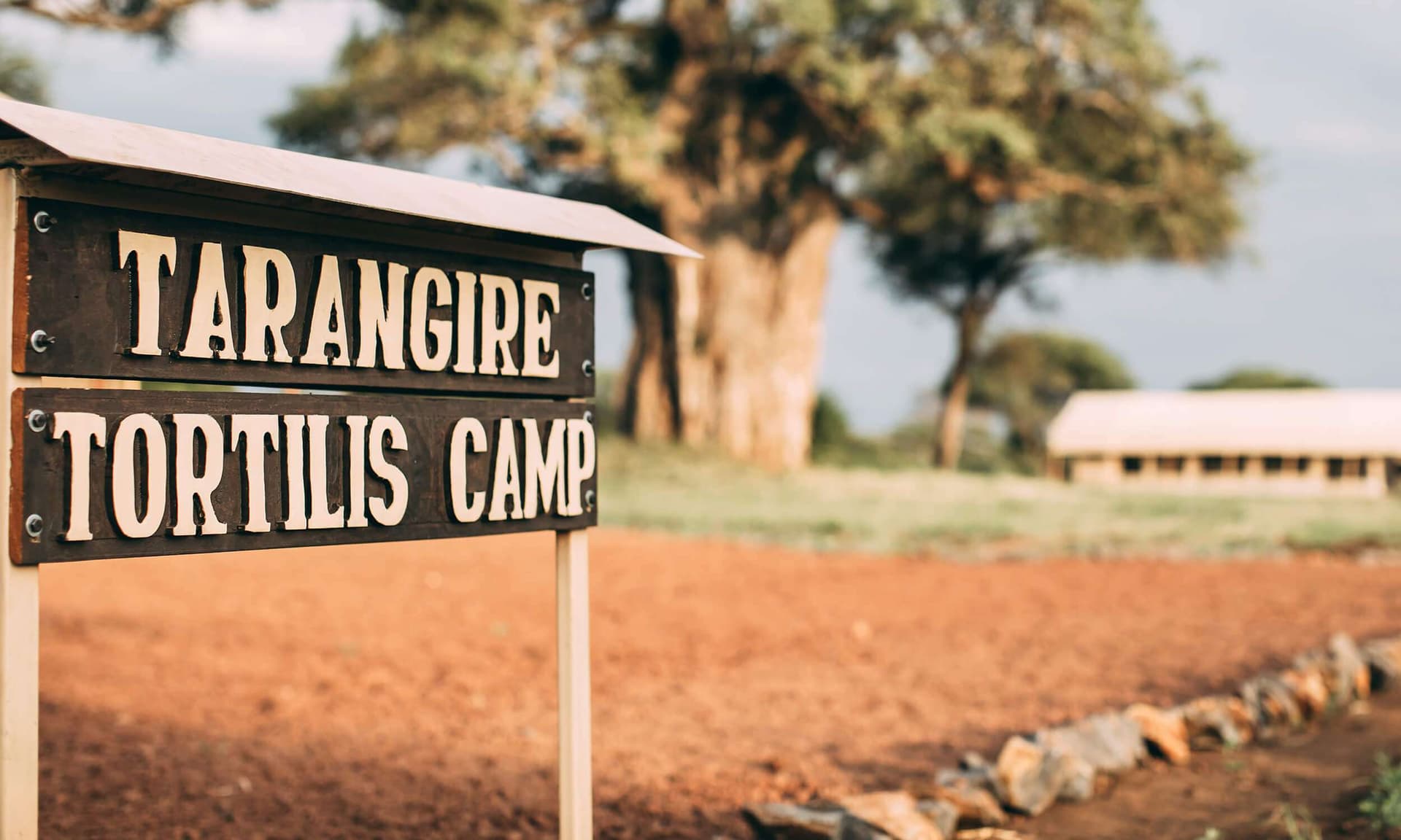Tortilis Camp