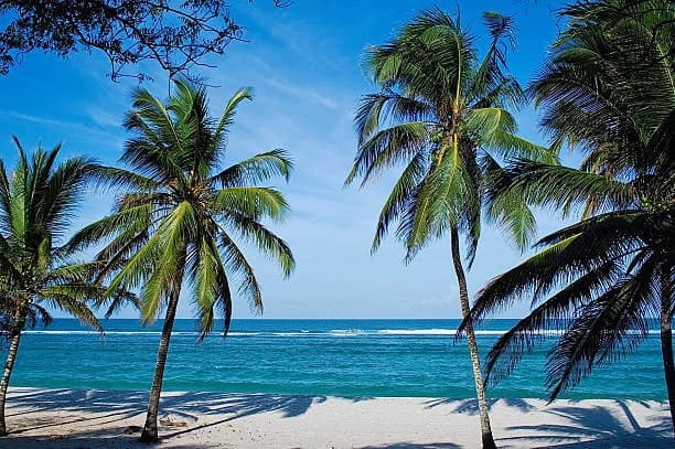 Diani Beach