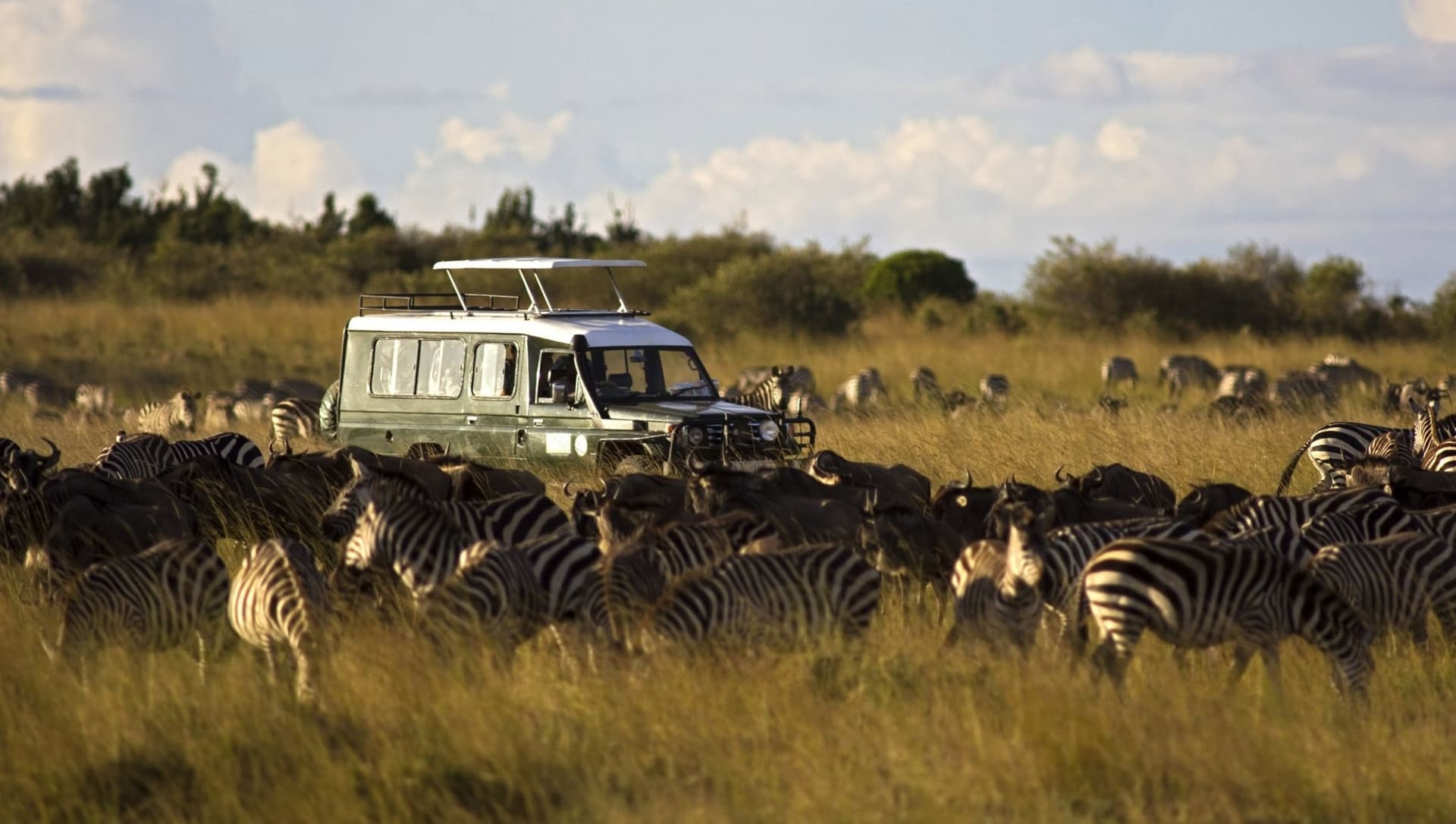 African Safari: What Happens on a game drive?