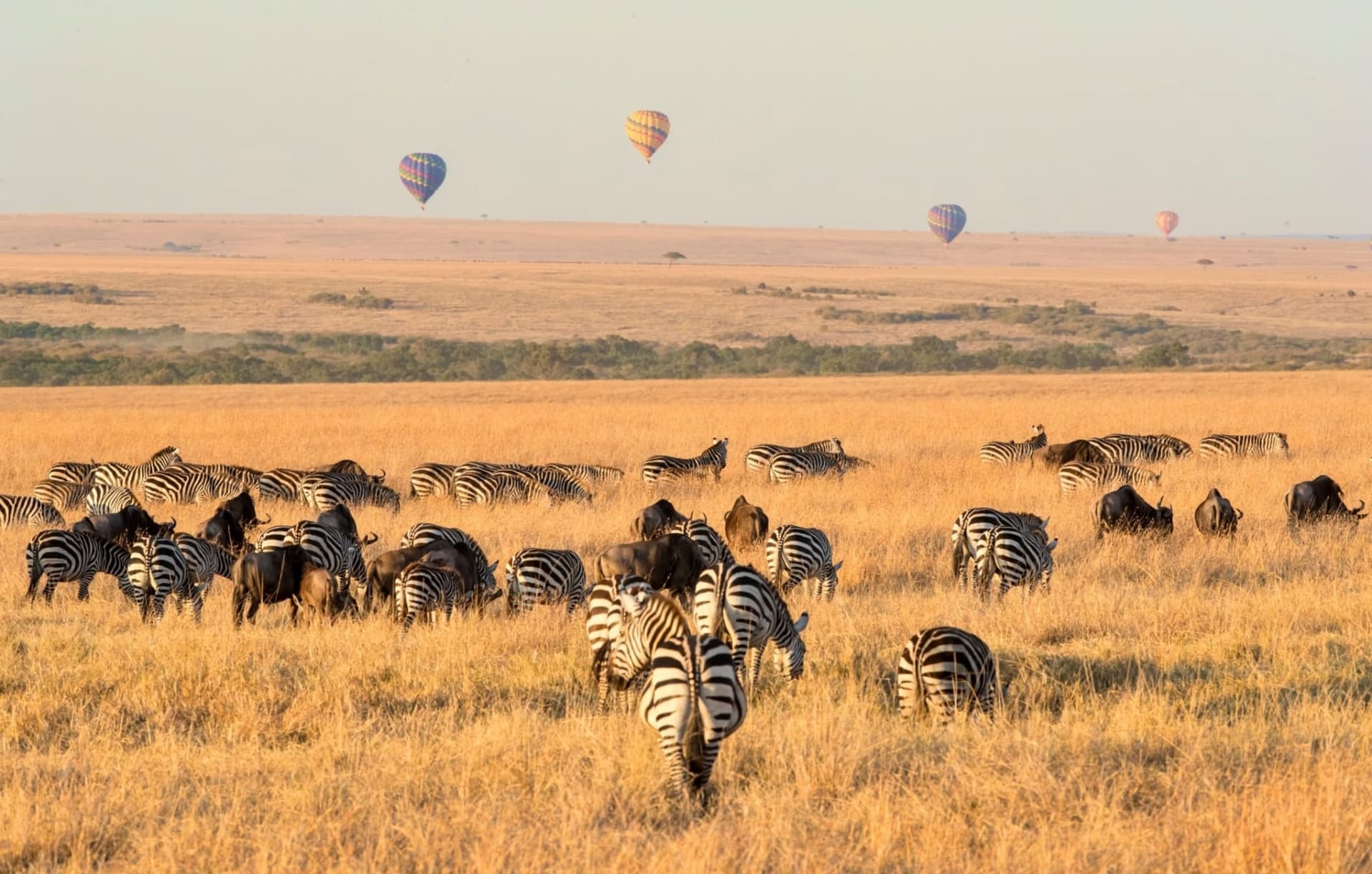 Day 1: Day 1: Nairobi to Masai Mara National Reserve
