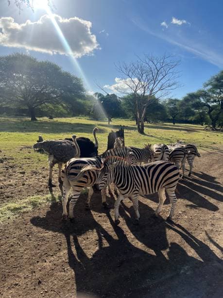 Lumo Community Wildlife Conservancy