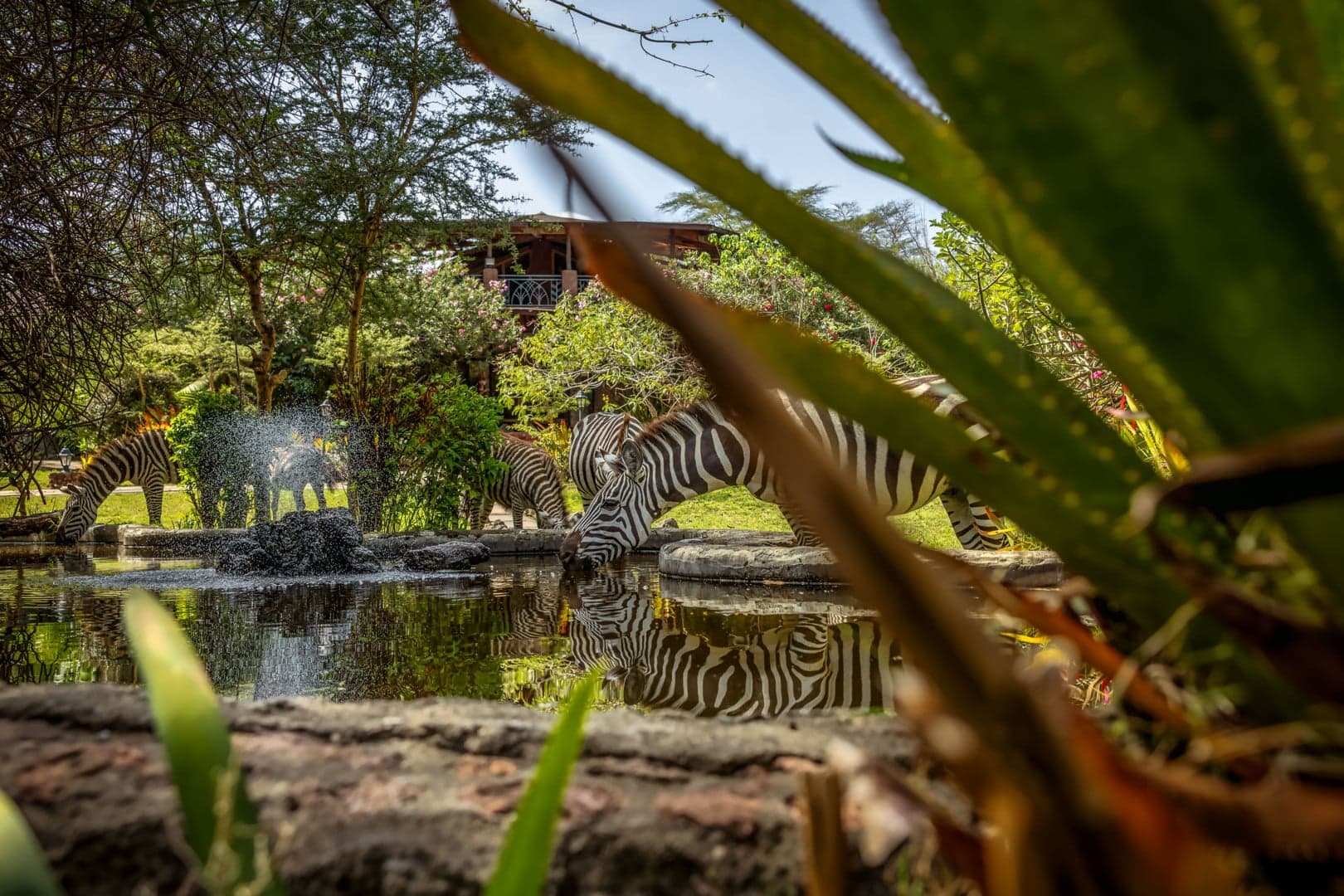 Lake Naivasha Lodge