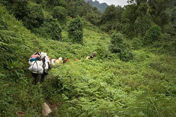 Rwenzori Mountains National Park
