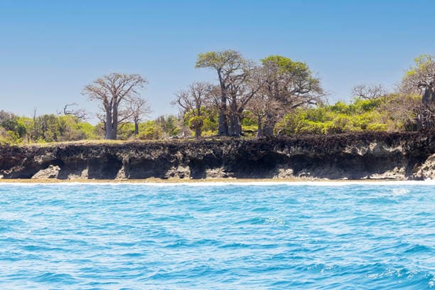 Kisite-Mpunguti Marine National Park