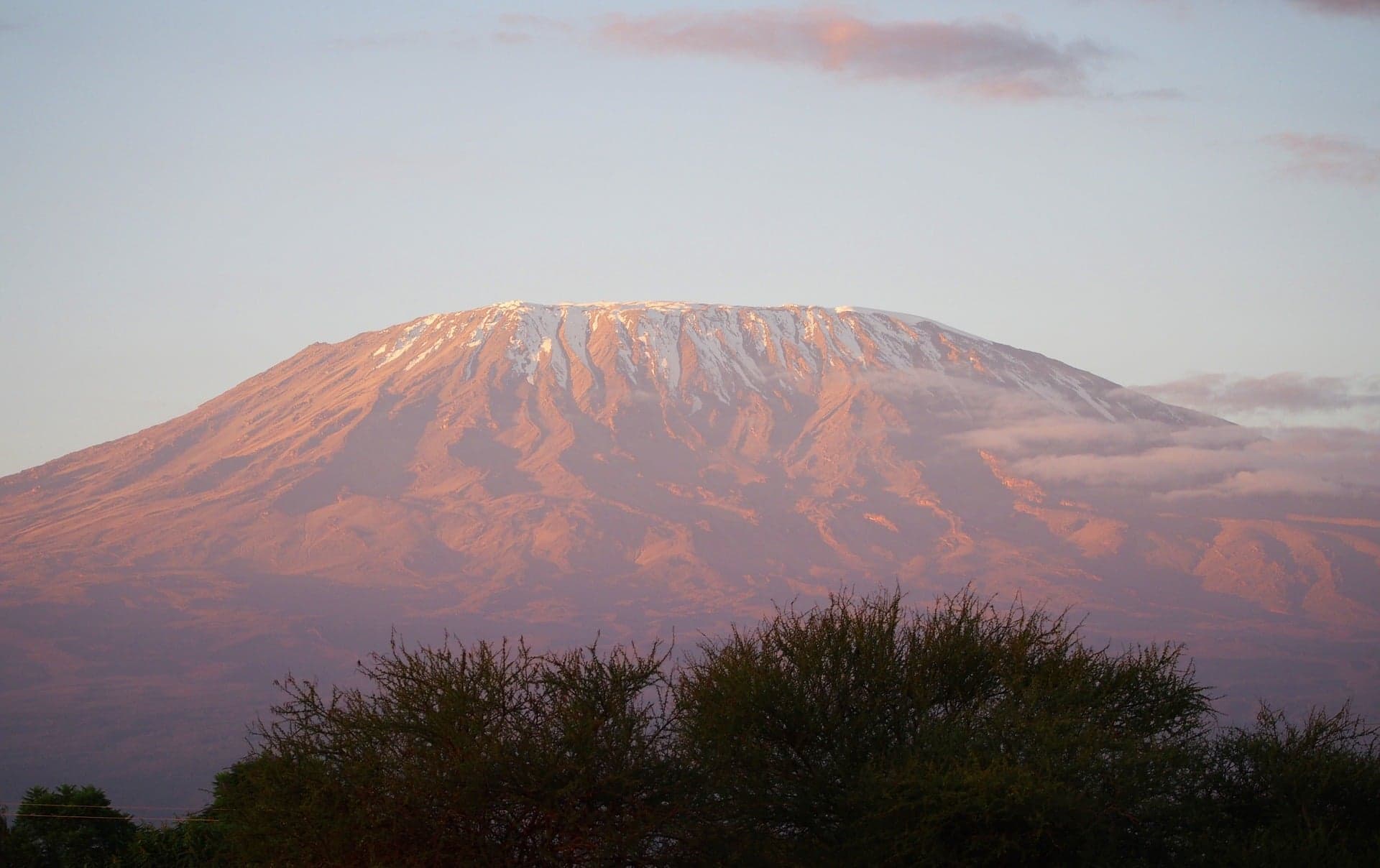 Safari in kenya: Best Month for Wildlife