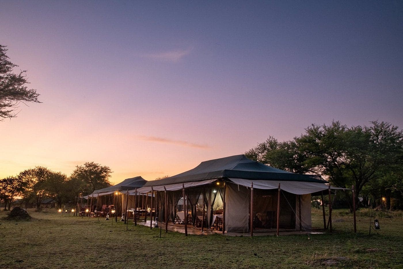 Serengeti Under Canvas